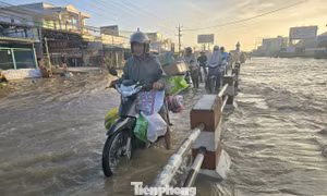 Vĩnh Long đối mặt với mực nước cao do triều cường, chính quyền khuyến cáo người dân chủ động phòng tránh ngập lụt, sạt lở...