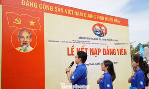 Kết nạp Đảng 10 chiến sĩ Mùa hè xanh tại Đồng Tháp