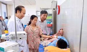 Vụ hàng trăm người nghi ngộ độc bánh mì tại Đồng Tháp: 25 mẫu dương tính vi khuẩn Salmonella