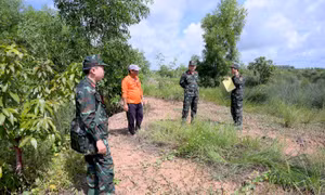 An Giang khoanh vùng trọng điểm tìm kiếm hài cốt 300 liệt sĩ đặc công, pháo binh