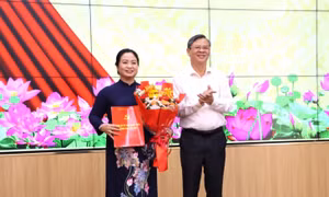 Điều động, chỉ định nhân sự ở Cần Thơ và Lâm Đồng