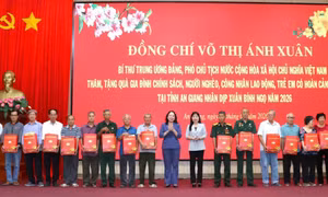 Phó Chủ tịch nước Võ Thị Ánh Xuân thăm, chúc Tết gia đình chính sách, người nghèo An Giang