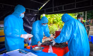 An Giang tăng cường lực lượng, chạy đua lấy mẫu ADN hài cốt liệt sĩ trước mùa mưa