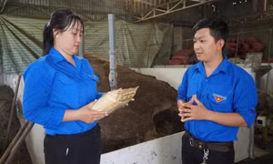 Thanh niên cần những kỹ năng thực chiến