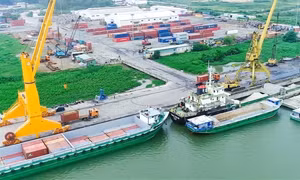 Cần ‘đại bàng’ mang vốn, công nghệ, chuỗi cung ứng tới Cần Thơ 