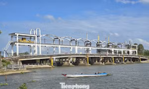 Xâm nhập mặn lấn sâu 40-60km ở Đồng bằng sông Cửu Long