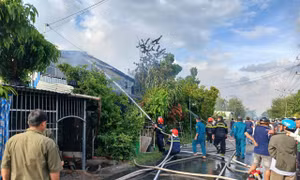 Cháy nhà nuôi yến ở Đồng Tháp 