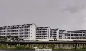 Cần Thơ mời gọi đầu tư 2 dự án nhà ở xã hội gần 1.400 căn hộ