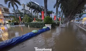 Nâng nền cho Bến Ninh Kiều để hết ngập