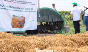 Xử lý rơm rạ sau thu hoạch để giảm ô nhiễm, phát triển nông nghiệp xanh