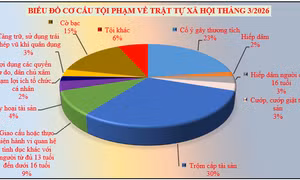 Trong vòng 3 tháng, tiếp nhận 32 vụ xâm hại tình dục trẻ em tại Vĩnh Long 