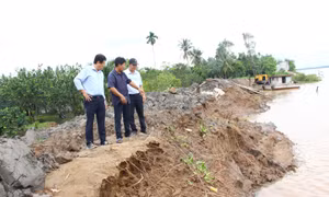 Vĩnh Long sẽ chuyển cồn 30ha bị sạt lở trên sông Cổ Chiên thành mỏ cát