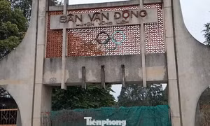 Vĩnh Long: Kiến nghị chuyển công an hồ sơ đấu giá đất sân vận động làm trung tâm thương mại
