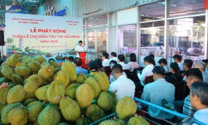 Cần Thơ 'giải cứu' sầu riêng