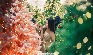 Lạc bước giữa vườn thông phủ tuyết mùa Giáng sinh