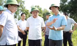 Chủ tịch tỉnh Bắc Ninh thị sát phòng chống ngập úng phường Bắc Giang.