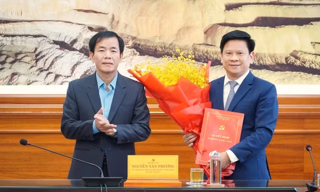 Công bố quyết định của Ban Bí thư Trung ương Đảng về công tác cán bộ