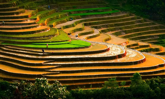 Ngắm ruộng bậc thang Tả Van mùa nước đổ
