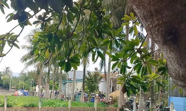 Con trai tử vong sau xô xát với bố đẻ