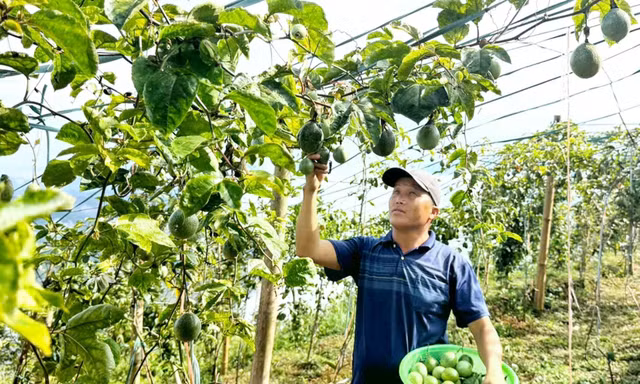 Lào Cai đặt mục tiêu giải ngân ít nhất 75% vốn chương trình mục tiêu quốc gia trong tháng 10