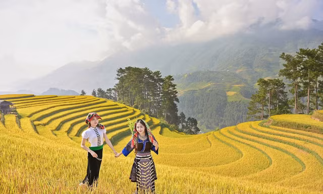 Mù Cang Chải mùa lúa chín đẹp như tranh