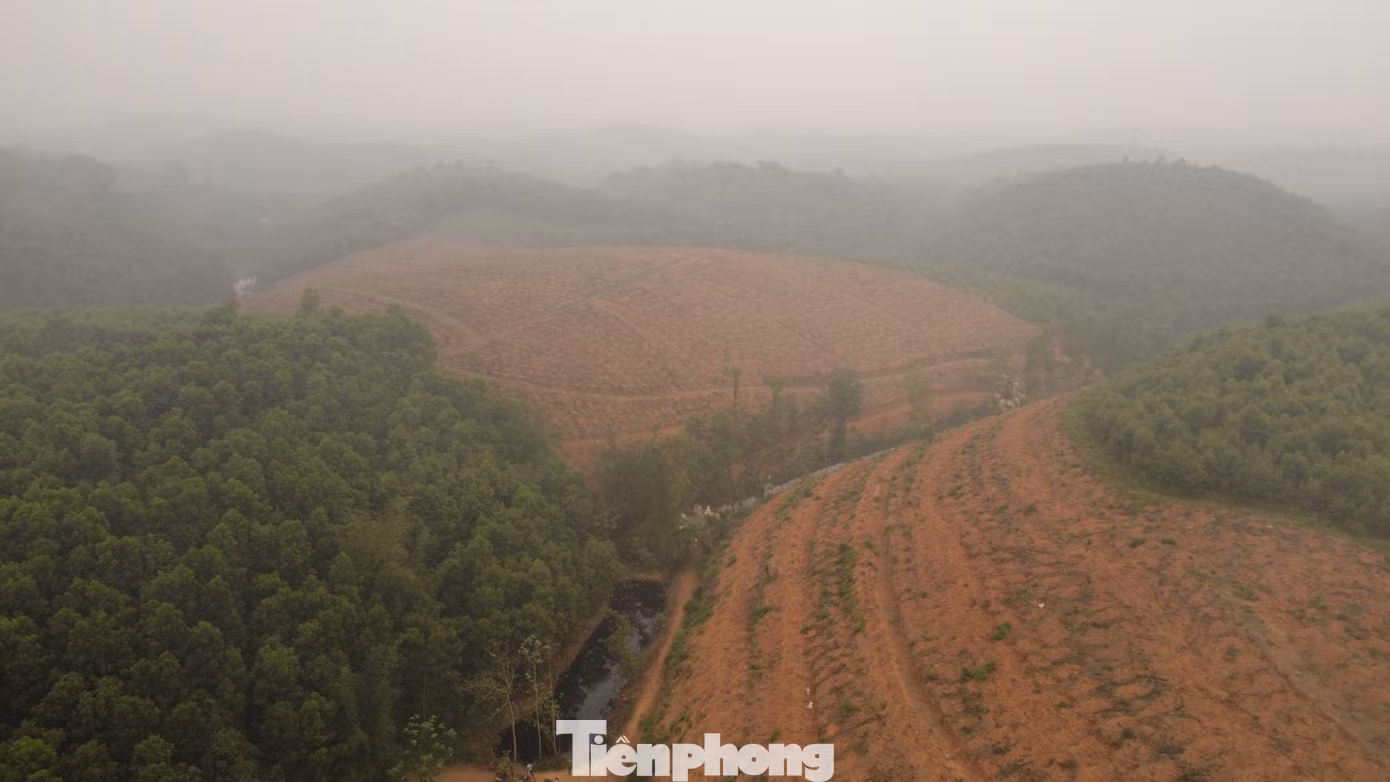 tp-c_dji-0651.jpg
