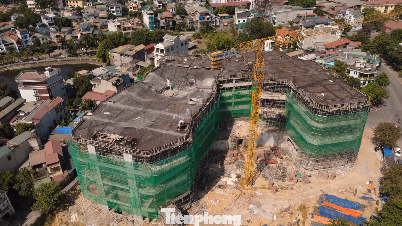 tp-c_dji-0397.jpg