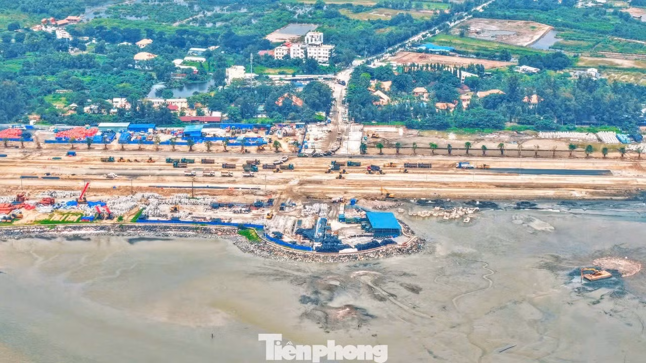 tp-7.jpg
