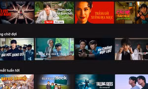 Netflix Việt “hồi sinh”: Hàng loạt phim mới, từ phim Hàn đến anime được “rã đông”