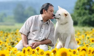 Rơi nước mắt khi đọc “Chú Chó Gác Sao”: Những chú chó thì luôn luôn chờ đợi
