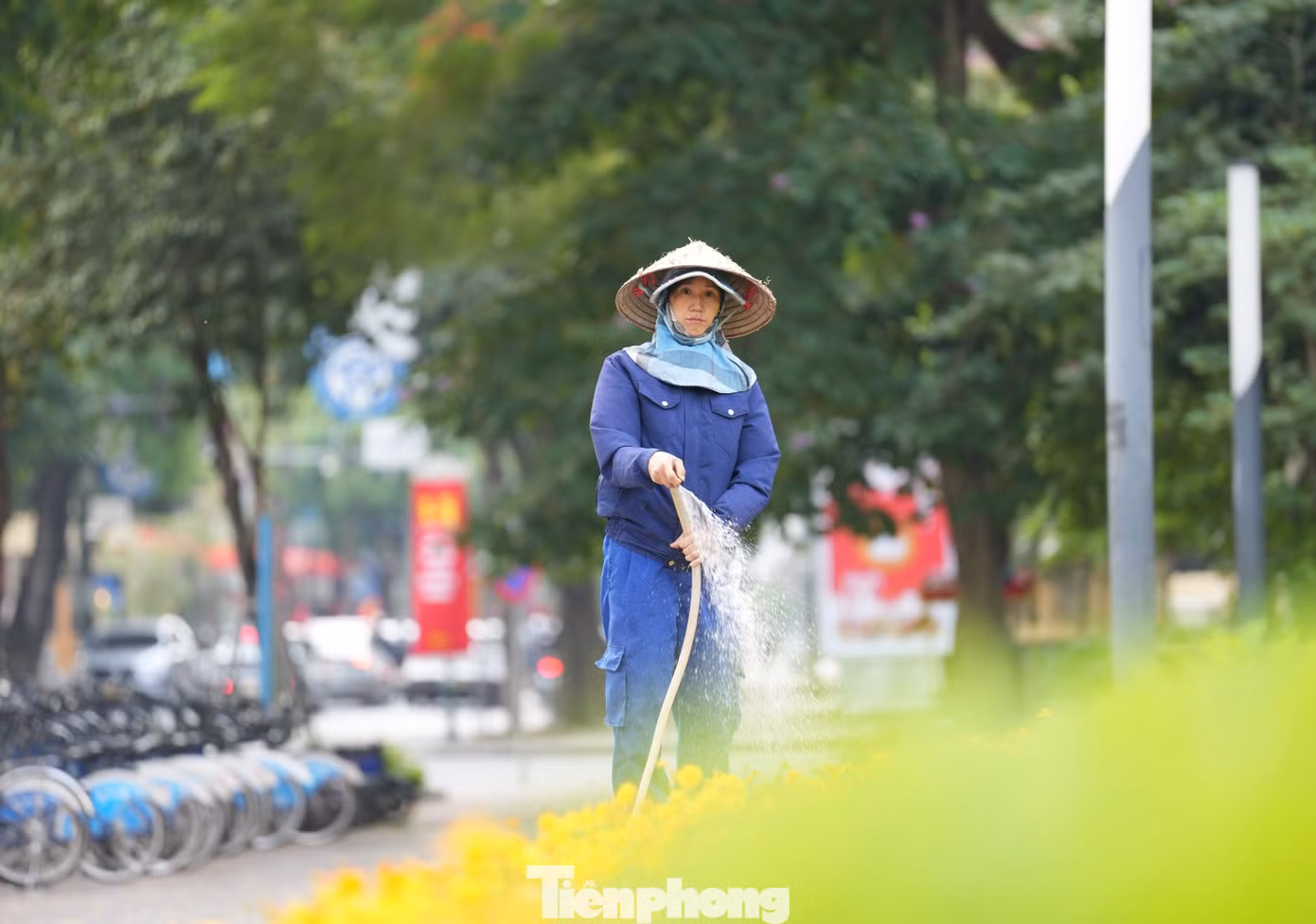 tp-lao-dong-8.jpg