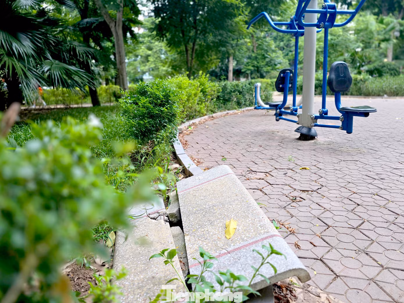 tp-tran-quang-dieu-1.jpg