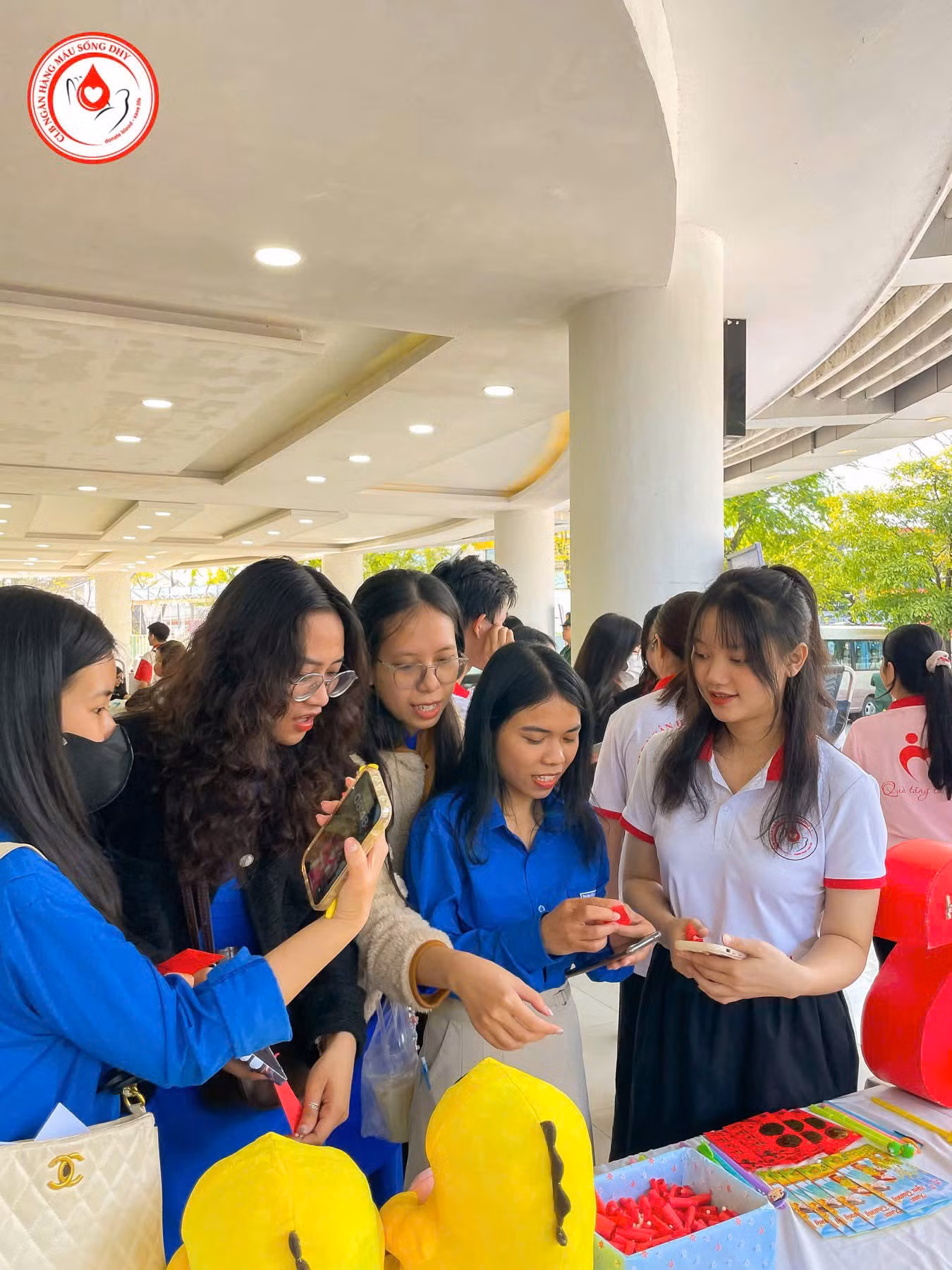 anh-6-2726.jpg