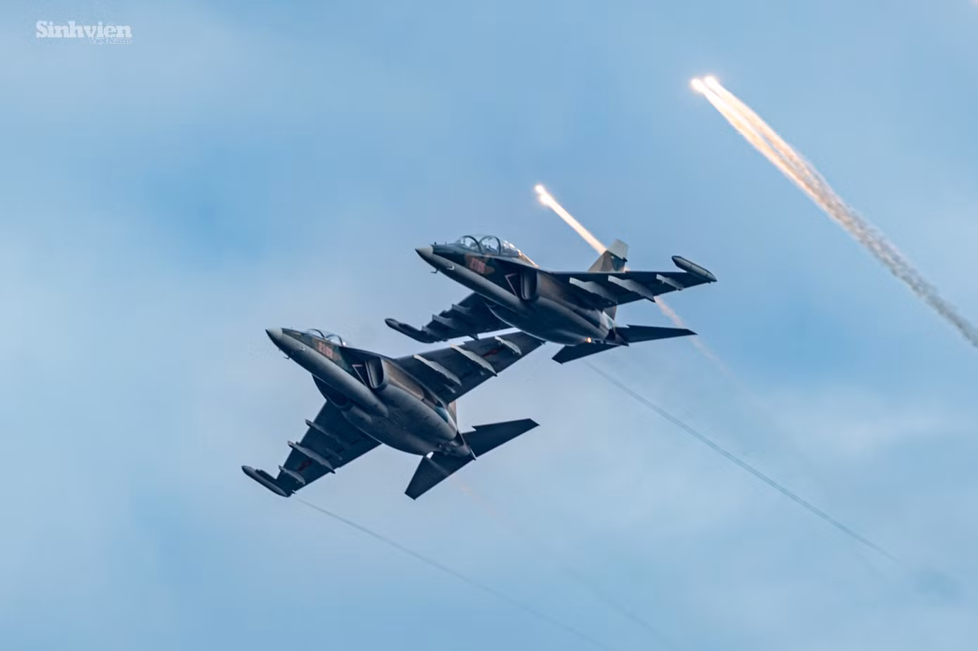 su30-yak130-10.jpg