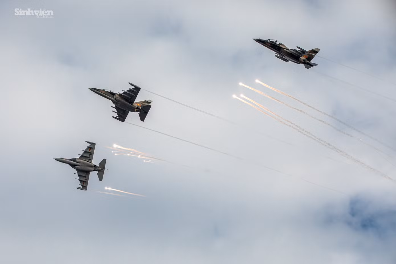 su30-yak130-06.jpg