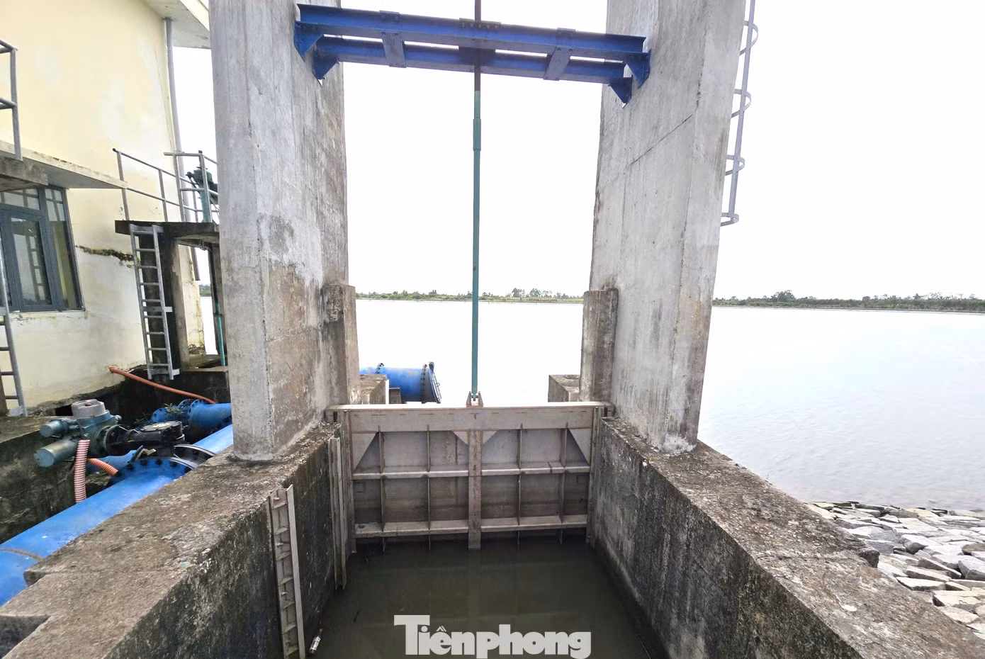 tp_honuocngot-12.jpg