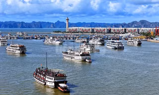 Sau bão, các đoàn tàu Quảng Ninh vươn khơi