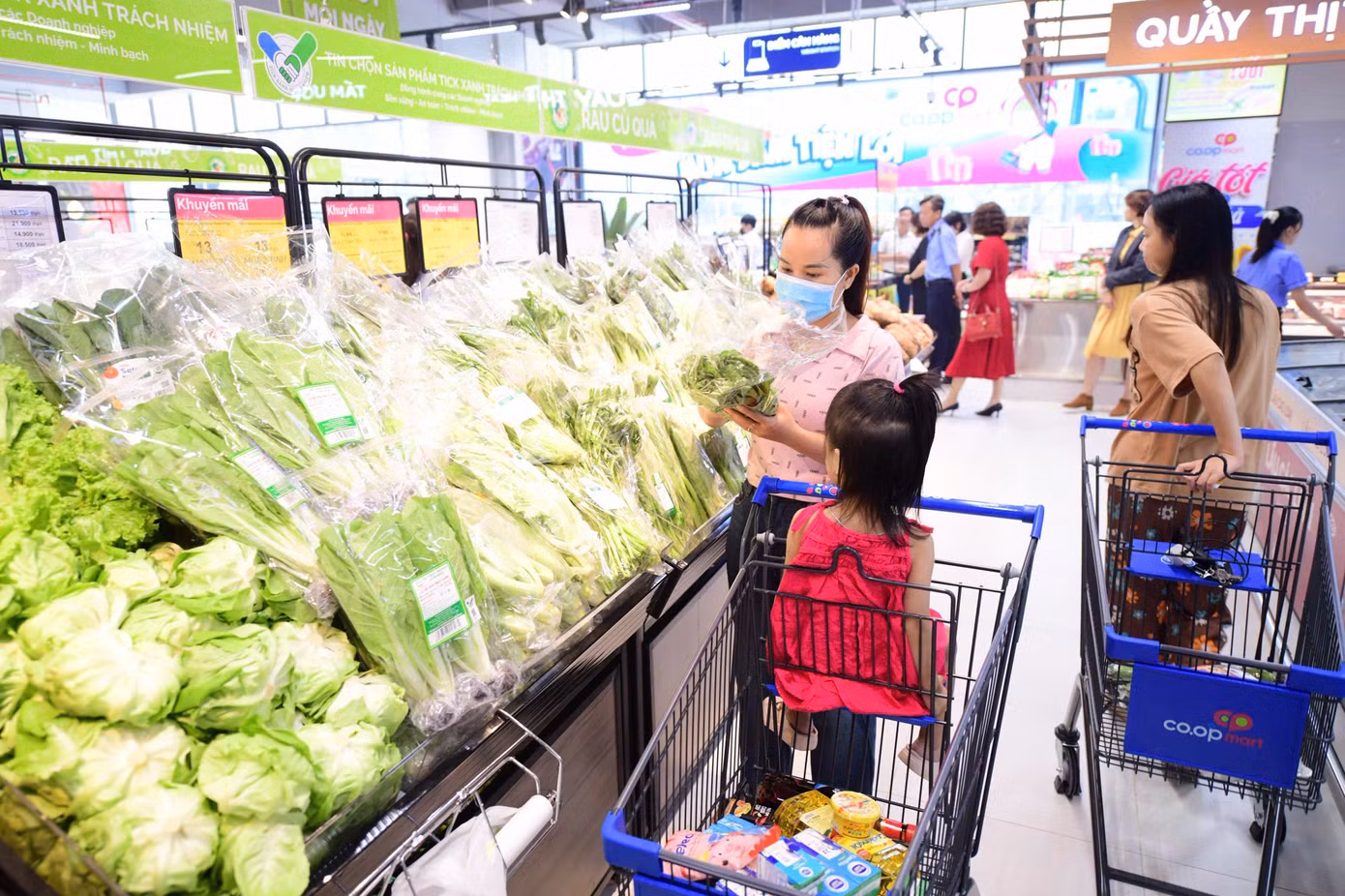 saigon-coop-dieu-chinh-giam-gia-rau-an-la-ngay-trong-cao-diem-bien-dong-giu-on-dinh-gio-hang-thiet-yeu-cua-nguoi-dan.jpg