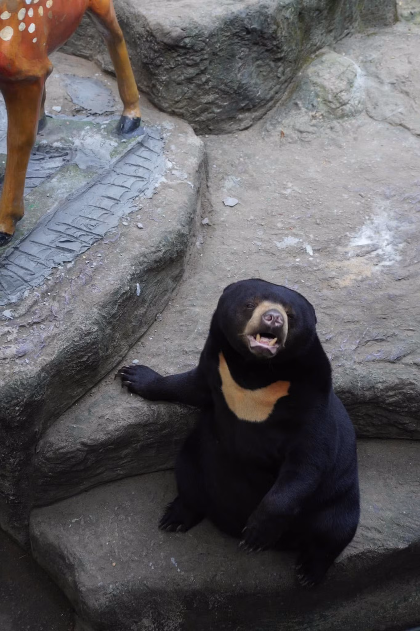 481770394-647851721113706-4687575629330214060-n.jpg