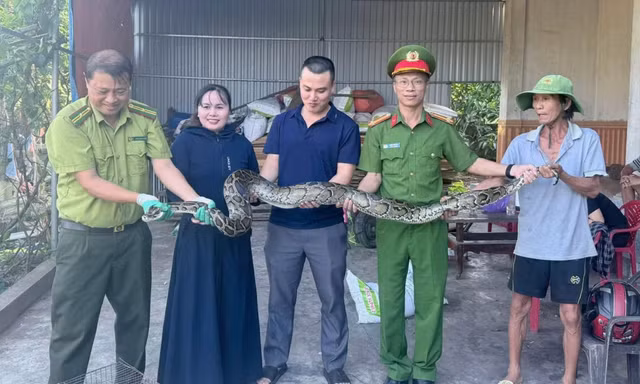 Người phụ nữ mang con trăn dài 2m giao nộp công an