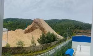 Di chuyển bãi gỗ dăm cạnh kho xăng dầu, khí hóa lỏng ở Hà Tĩnh