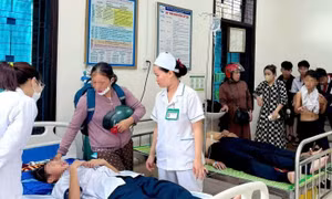 27 học sinh nhập viện do ong tấn công