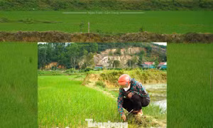 Kỳ 2: Hoàn thiện 'xương sống' siêu công trình thủy lợi