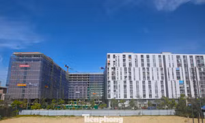 Hàng nghìn hồ sơ dành suất mua NƠXH ở Hà Tĩnh