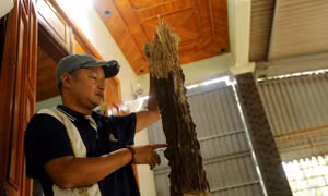 Cận cảnh khối gỗ trầm nặng hơn 15 kg được trả hơn nửa tỷ đồng