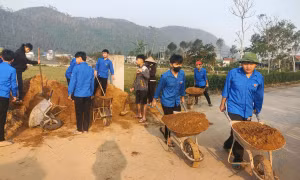 Thanh niên thực hiện nhiều hoạt động ý nghĩa Ngày Chủ nhật Xanh