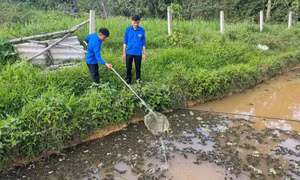 Những người trẻ quyết làm giàu trên vùng đất khó