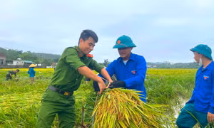 Công an, thanh niên Hà Tĩnh giúp người dân gặt lúa sau giông lốc, mưa đá