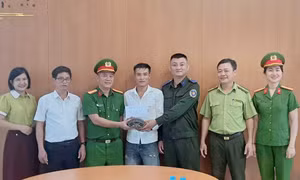 Người dân báo công an khi phát hiện rùa cổ sọc quý hiếm gần nhà