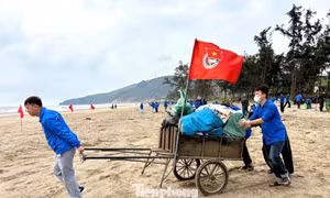 Tuổi trẻ Nghệ An phủ xanh bãi biển, làm sạch môi trường